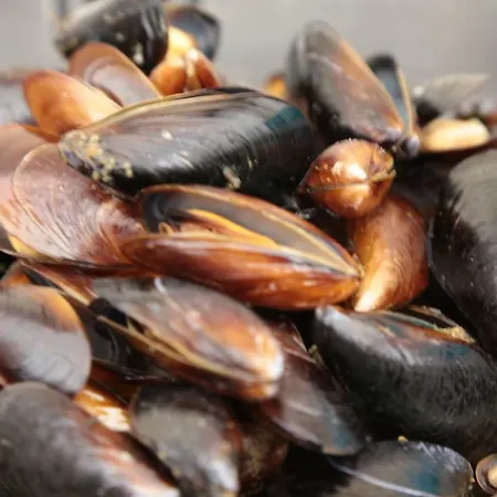 アパートホテル Морски Бряг スヴェティ・ヴラス