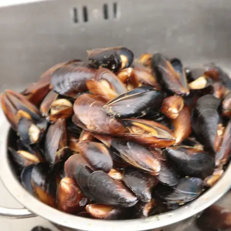 アパートホテル Морски Бряг