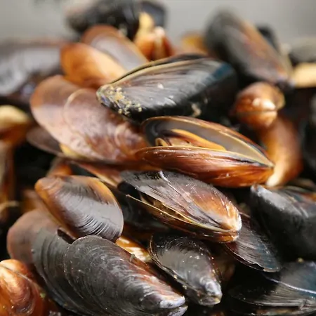 Морски Бряг アパートホテル